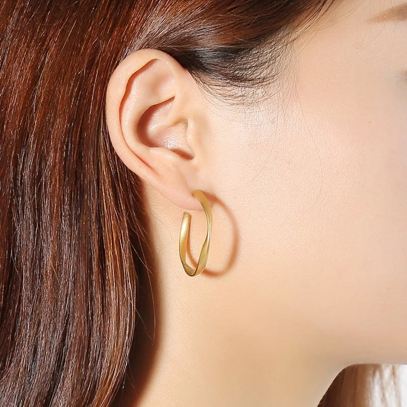 Dainty Twisted Stianless Steel Hoop Earrings for Women, Gold Color Plating Circle Round Ear Clip Accessory Mother's Day gift
